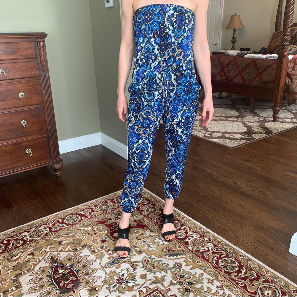 Veronica m
